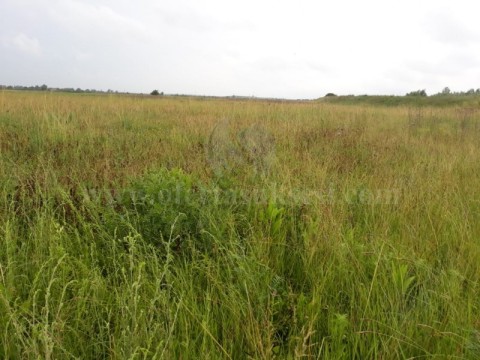 Shes 4.5 hektar toke afer Marigona Rezidence fshati Skulan