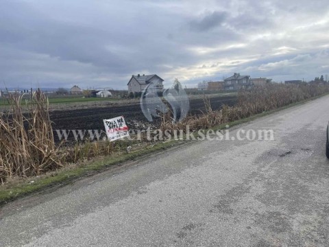 Shes 52 ari truall / Lipjan 