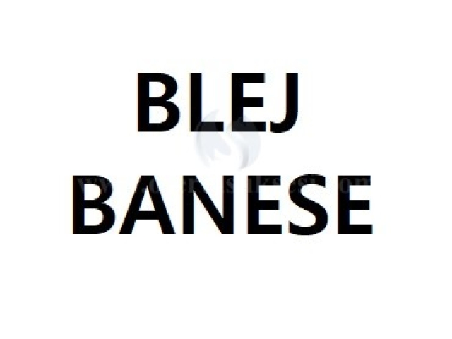 BLEJ BANES 