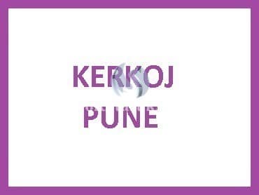 Kerkoj pune — fotografia 1