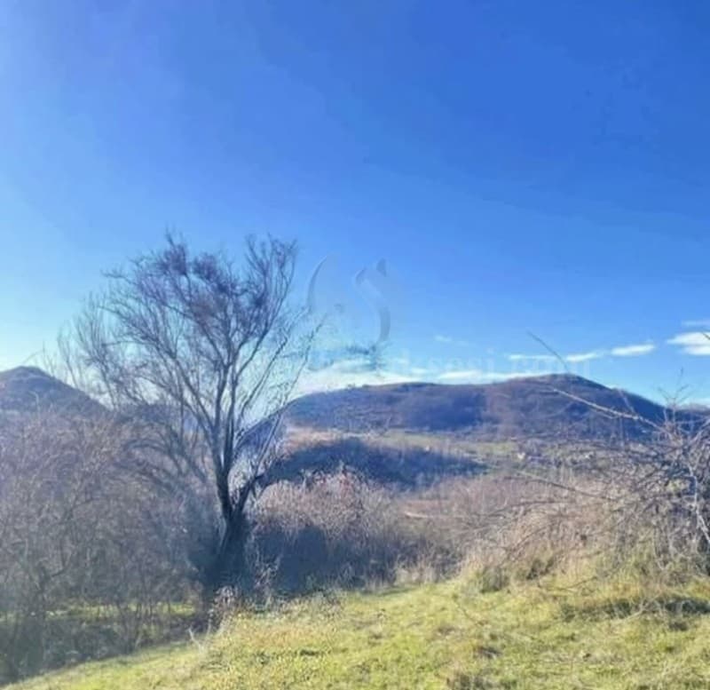 Shes 3 hektar e 30 ari / Prishtine — fotografia 2