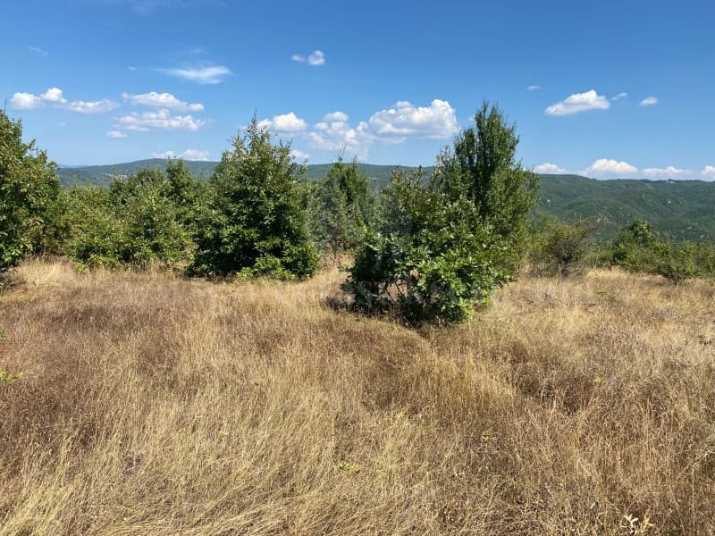 Shes 5 hektar toke / Gjilan — fotografia 1