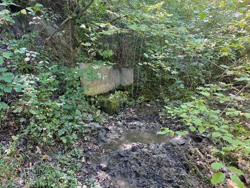 Shes 5 hektar toke / Gjilan — fotografia 3