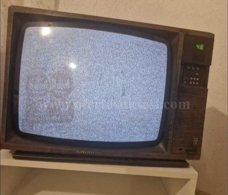 Shes TV-n e vjeter