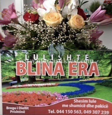 Ofroj pune per punetore ne lulishte — fotografia 1