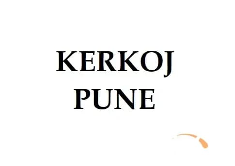 Sherbime perkthimi — fotografia 1