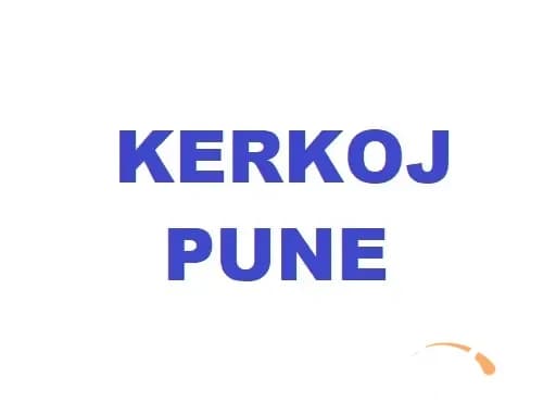 Kerkoj pune — fotografia 1