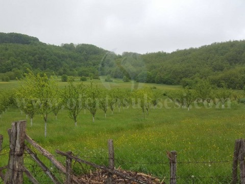 Shes 2 hektar toke / Prapashtice-Prishtine