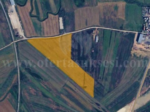 Shes 3.8 hektar toke / Ferizaj