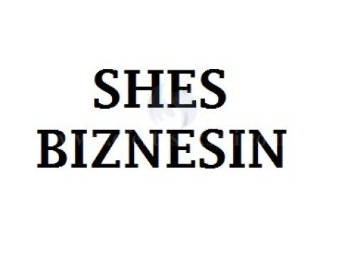Shes Biznesin