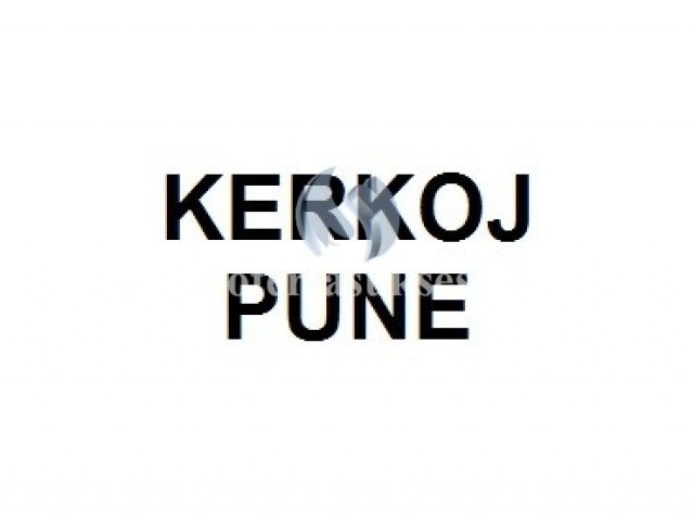 Kerkoj pune