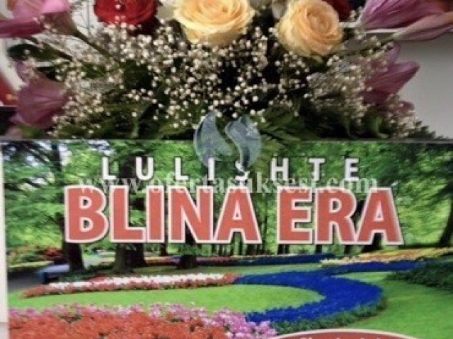 Ofroj pune per punetore ne lulishte